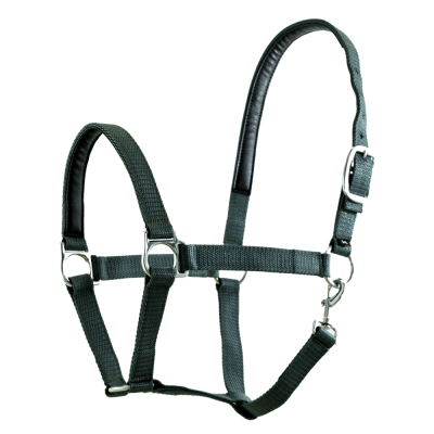 Metallic Collection Dressage Bundle Hunter Green - Image 3